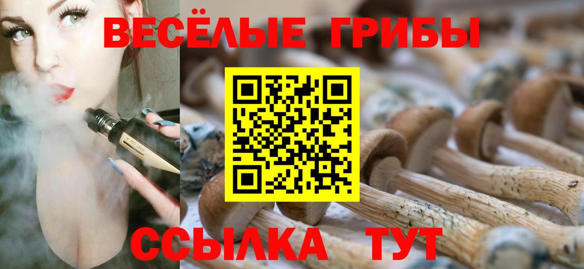 Псилоцибиновые грибы Psilocybine cubensis Шелехов